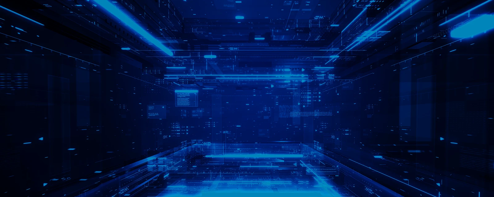 The Digital Oversight Dilemma